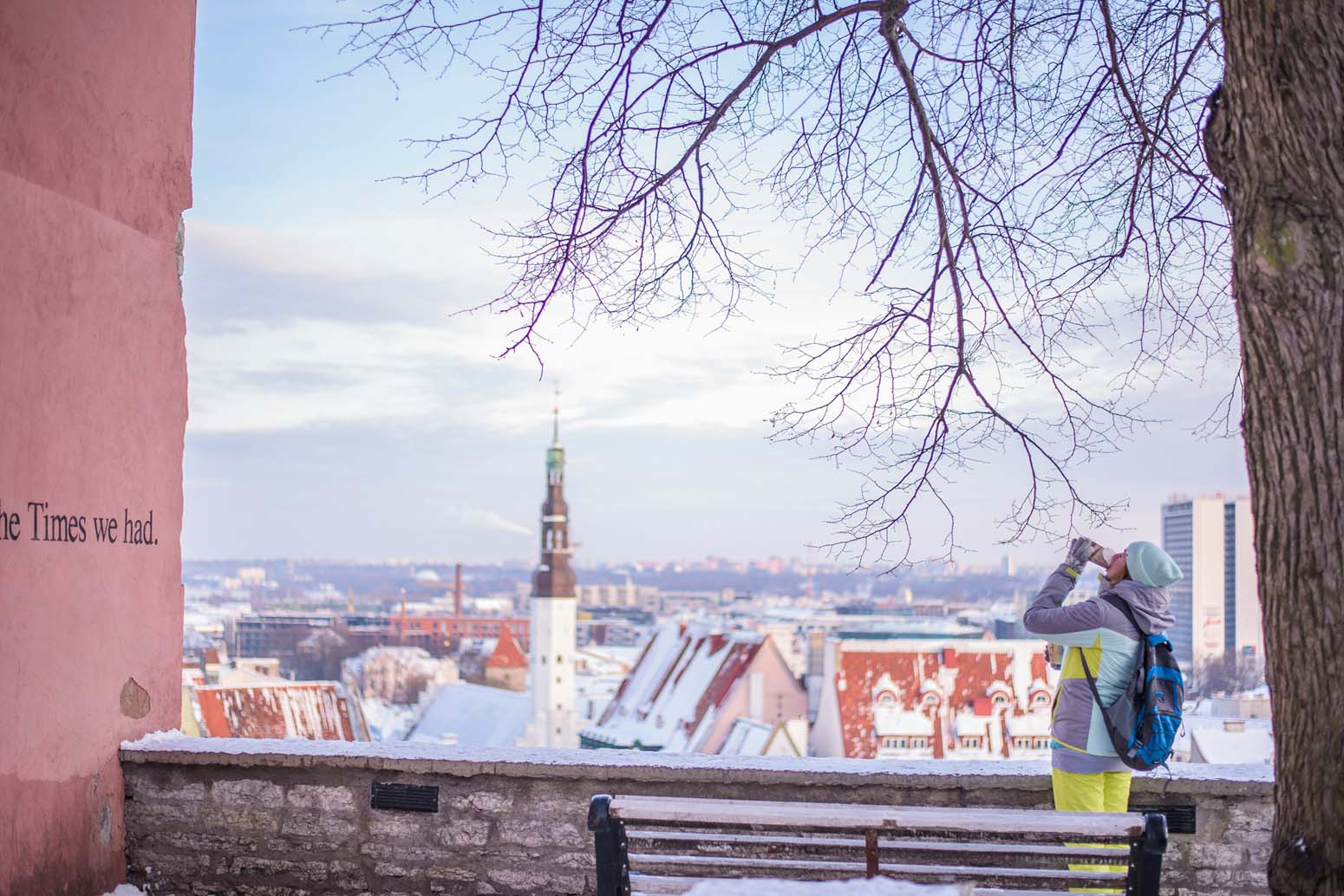 estonia fin de año